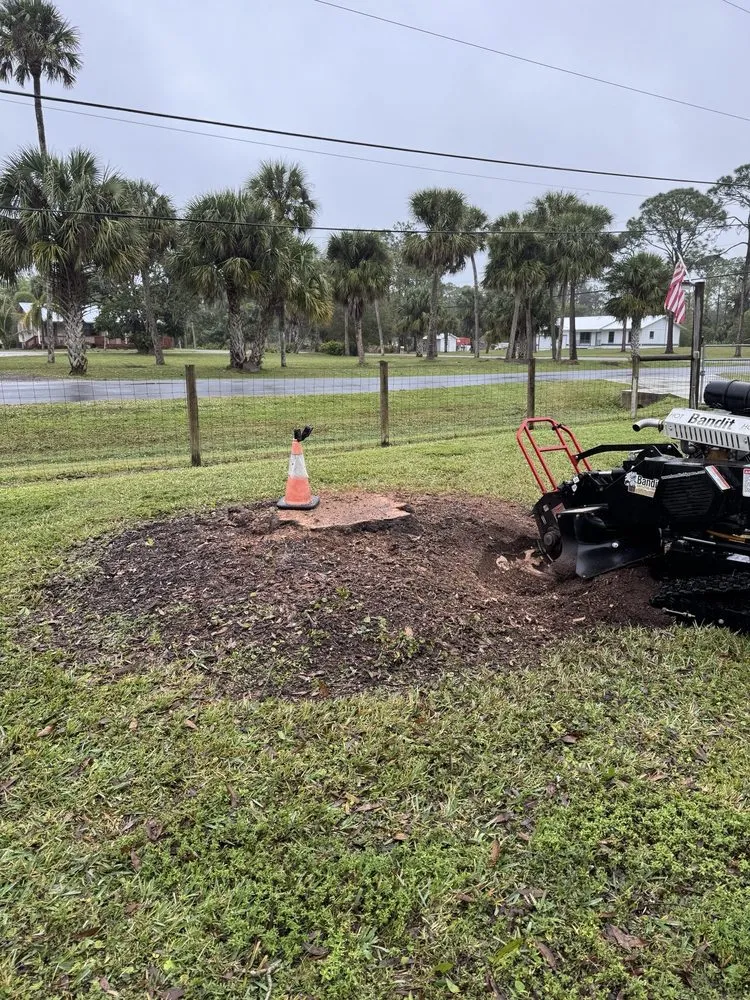 Top-rated lawn mowing service experts serving Jupiter, FL - Whatstump