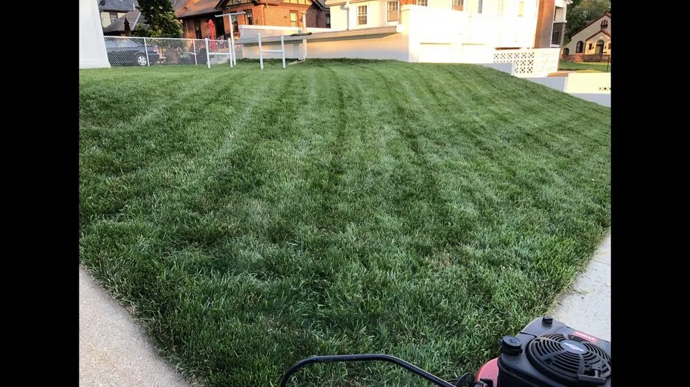 Trusted landscape design for outdoor upgrades in Cedar Bluffs, NE by Wheaton Lawn and Landscape