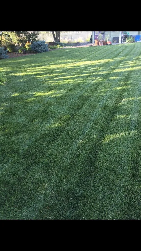 Top-rated landscape design near you across Cedar Bluffs, NE - Wheaton Lawn and Landscape