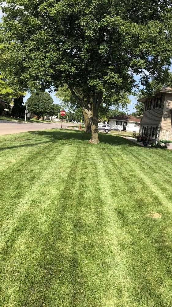 Local lawn care service for beautiful yards in Cedar Bluffs, NE by Wheaton Lawn and Landscape