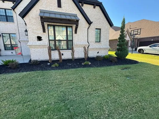 Wheel Deal Services Logo