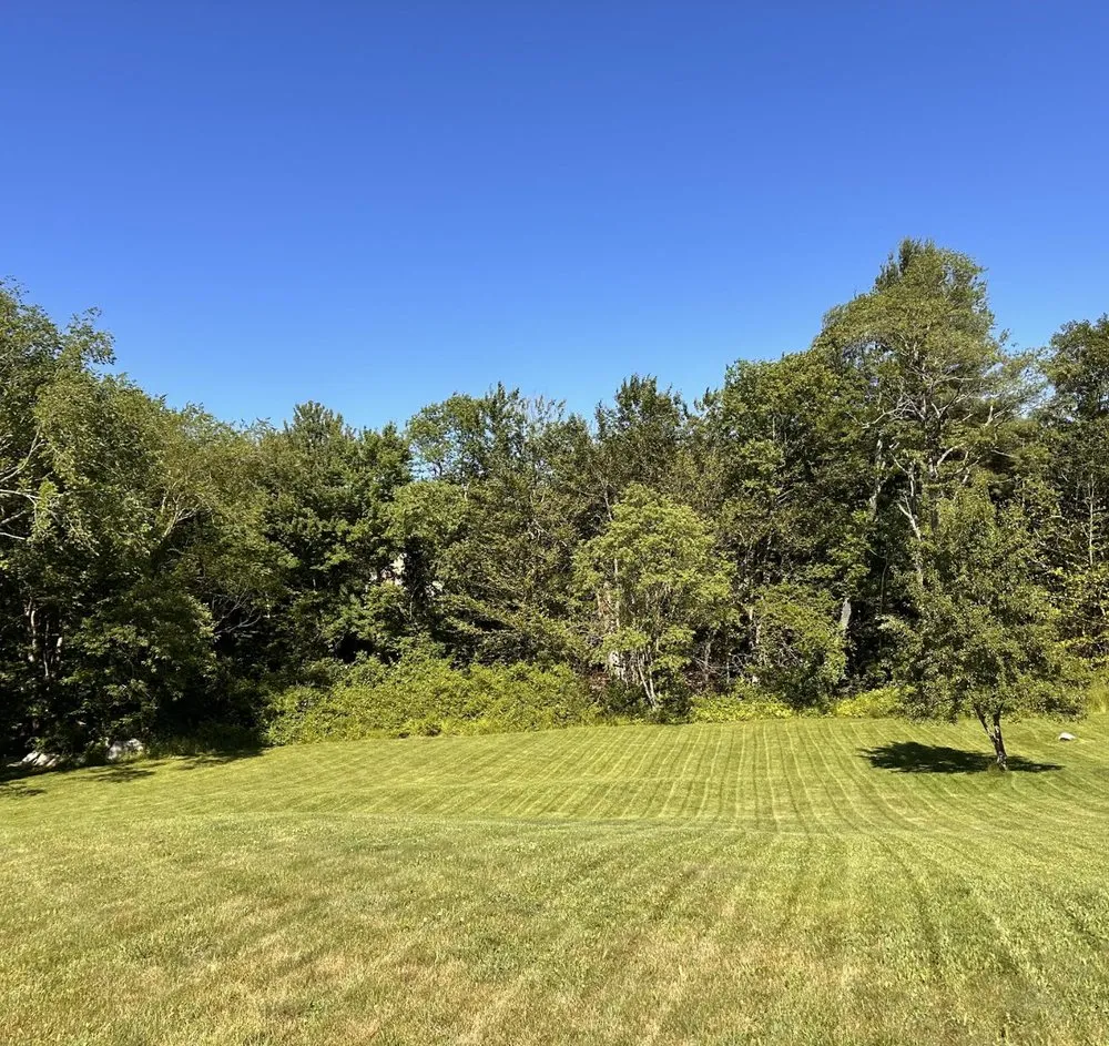 Top-rated landscape design for year-round maintenance across Whitman, MA - Wheeler Landscapes