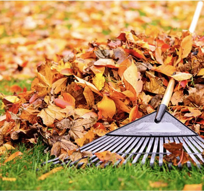 Top-rated lawn mowing service in Whitman, MA - Wheeler Landscapes