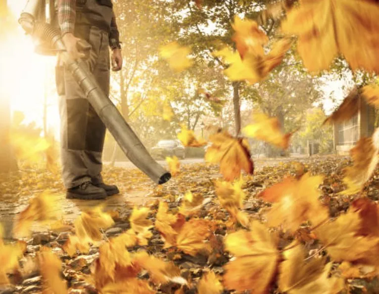 Local yard cleanup service in Whitman, MA by Wheeler Landscapes