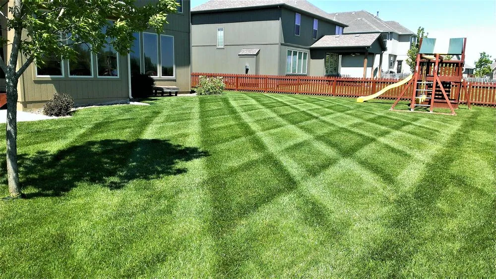 Top-rated yard maintenance in Lees Summit, MO by Wheeler Lawn and Landscaping