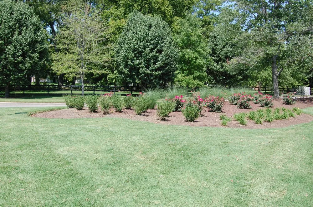 Reliable landscape installation for homes in Decatur, AL by Wheeler Lawn Care Service