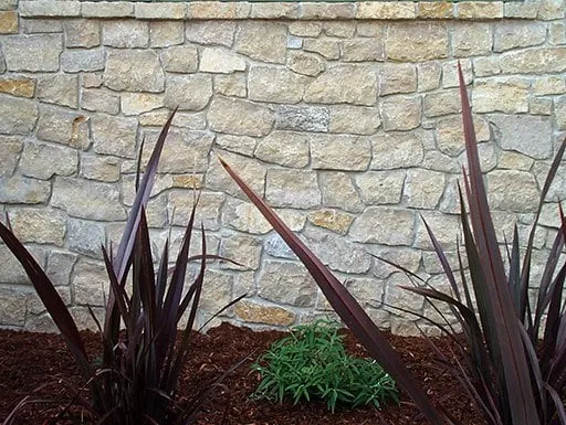 Professional yard cleanup service in Santa Rosa, CA - Wheeler Zamaroni Landscape Supplies