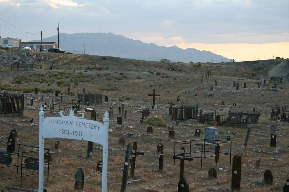 Local landscape design in Santa Rosa, CA - Wheeler Zamaroni Landscape Supplies