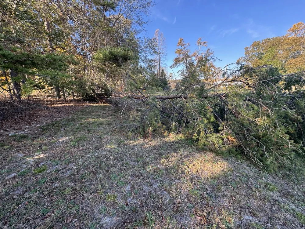 Reliable yard maintenance in Forest City, NC by Wheelers Lawn Care