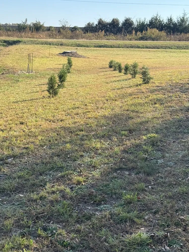 Local garden landscaping for year-round maintenance in Forest City, NC by Wheelers Lawn Care