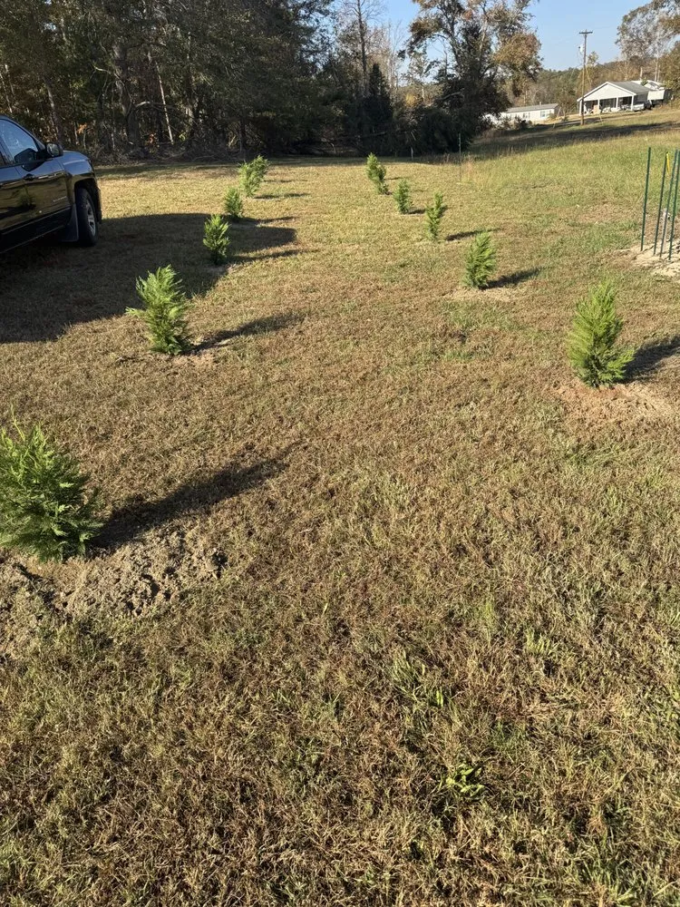 Professional lawn mowing service for outdoor upgrades across Forest City, NC - Wheelers Lawn Care