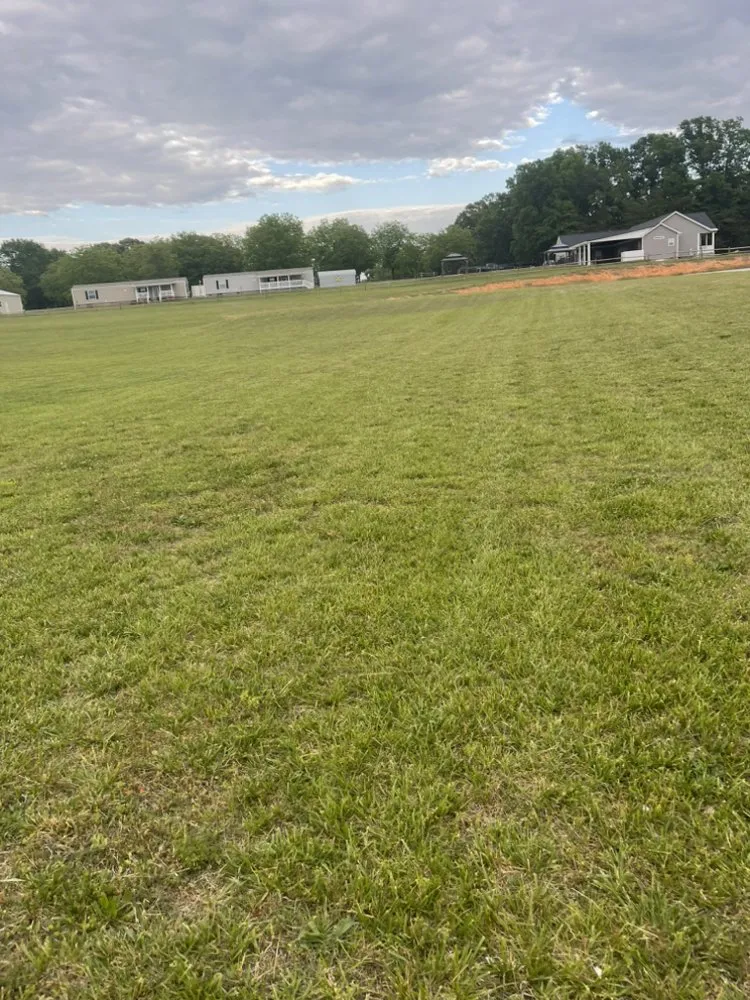 Professional yard cleanup service in Forest City, NC - Wheelers Lawn Care