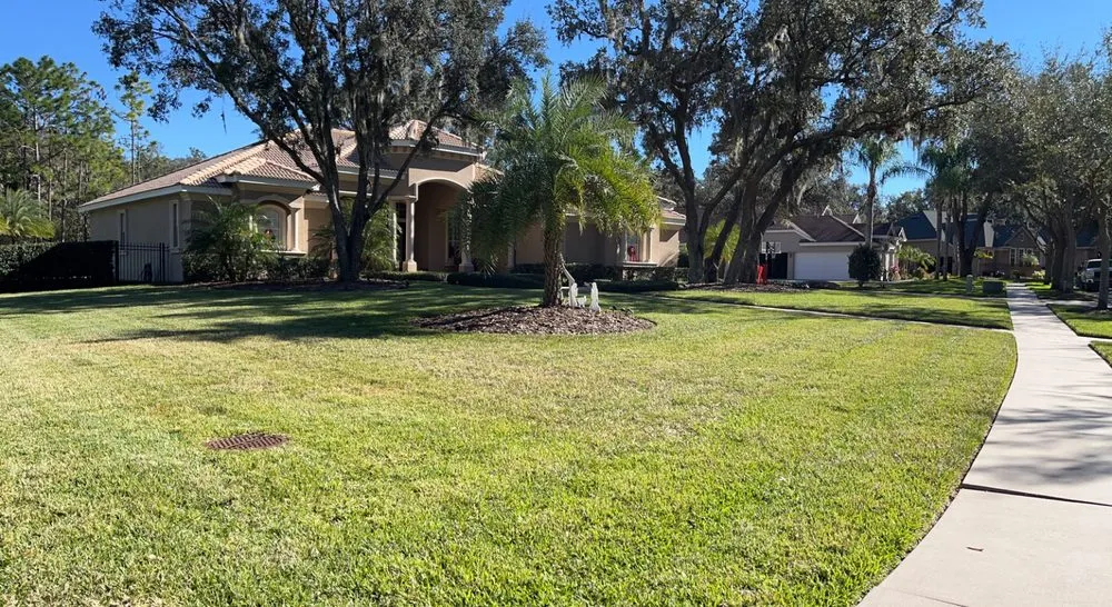 Professional landscape design in Seffner, FL by Wheeler’s Lawn Care