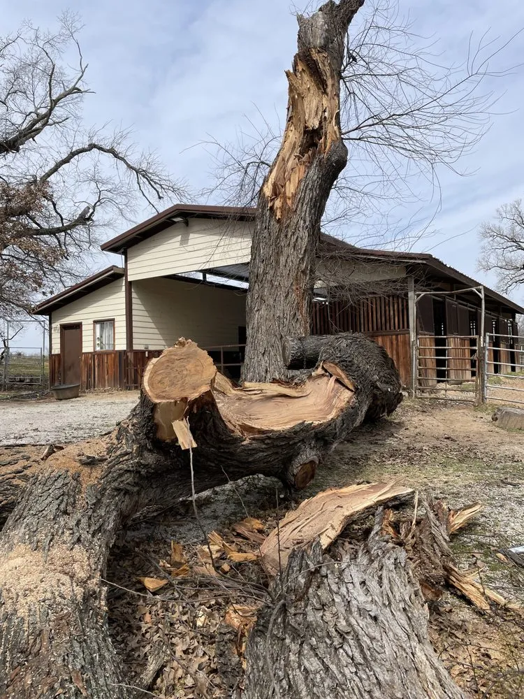 Top-rated lawn mowing service in Springtown, TX by Wheeler’s Tree Surgeons