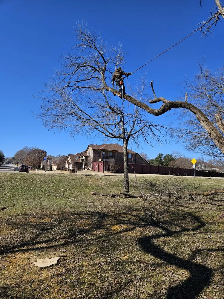 Local lawn mowing service for residential properties in Springtown, TX by Wheeler’s Tree Surgeons