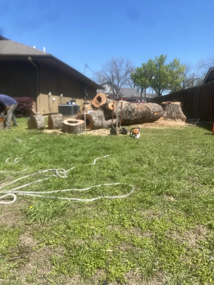 Trusted lawn care service experts serving Springtown, TX - Wheeler’s Tree Surgeons