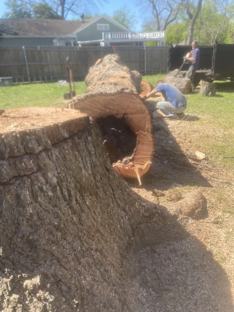 Expert garden landscaping for outdoor upgrades in Springtown, TX by Wheeler’s Tree Surgeons