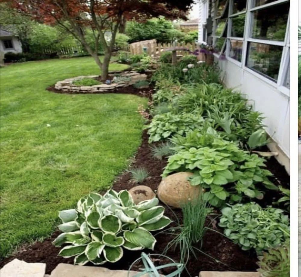 Trusted yard maintenance in Wilmington, NC - Wheelie Clean Services