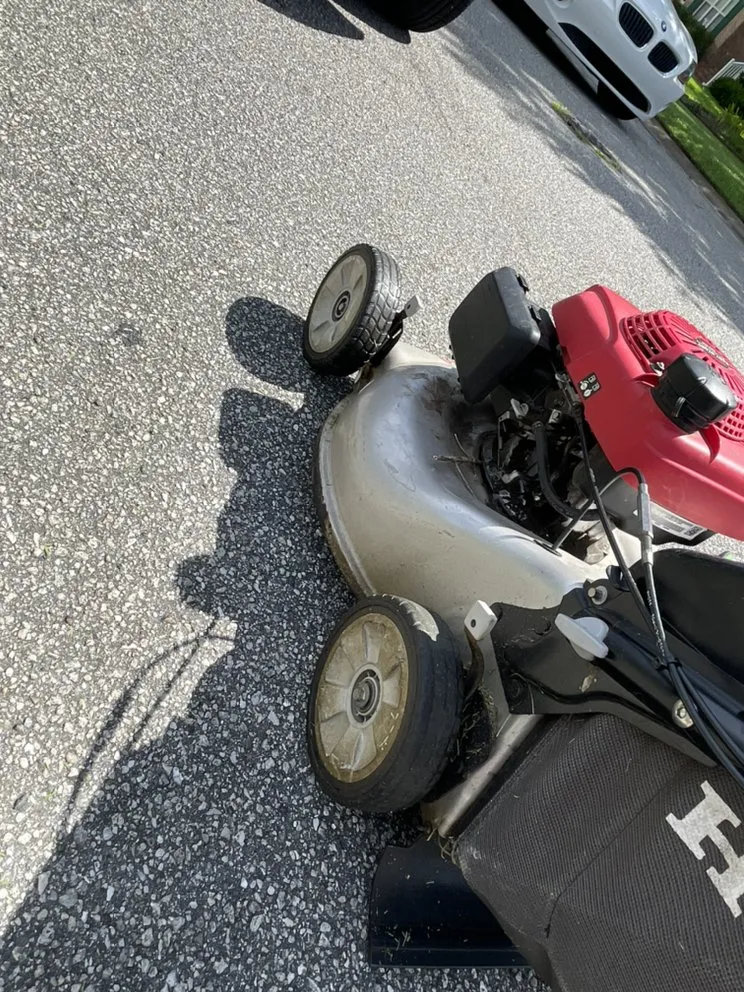 Reliable lawn care service in Wilmington, NC - Wheelie Clean Services