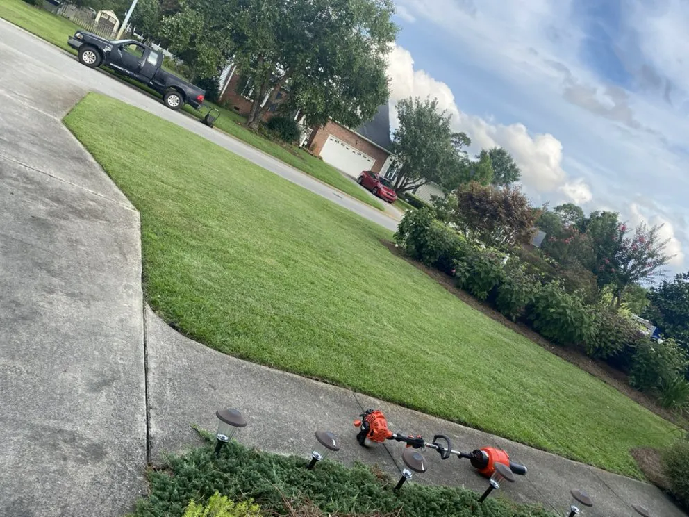 Reliable yard cleanup service for beautiful yards across Wilmington, NC - Wheelie Clean Services