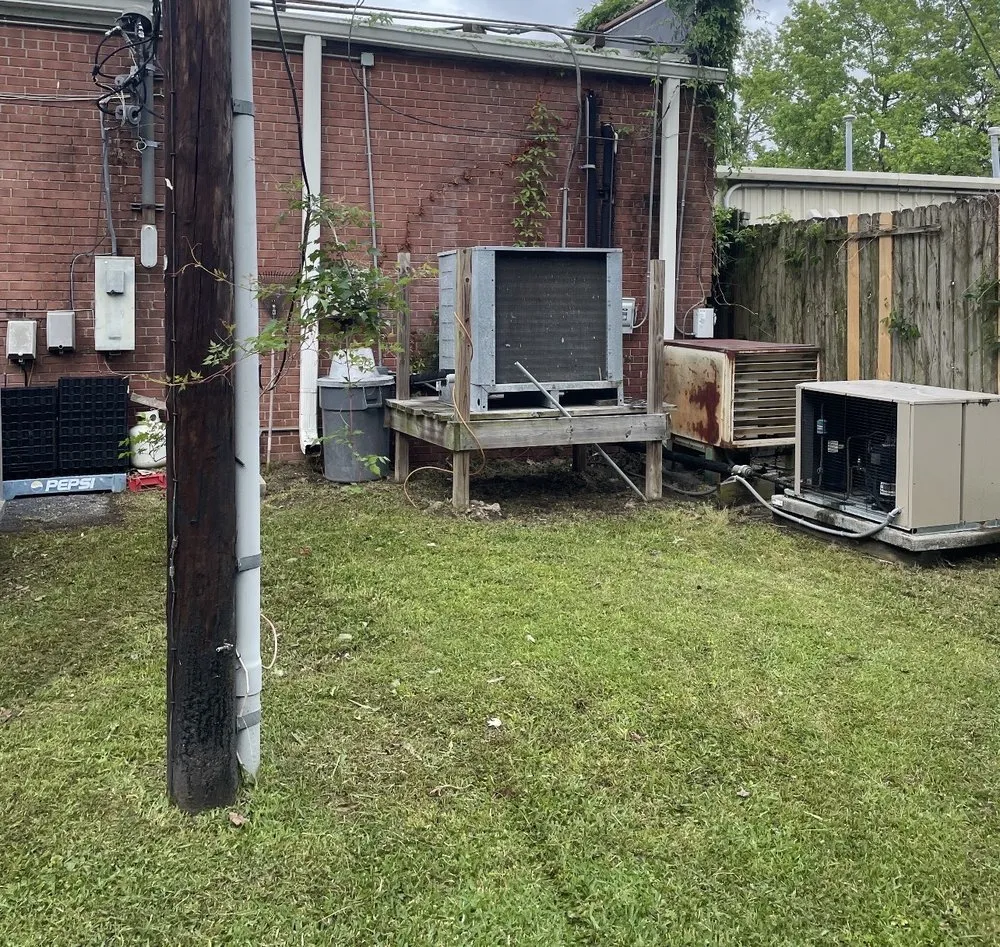 Local lawn care service for year-round maintenance in Wilmington, NC by Wheelie Clean Services