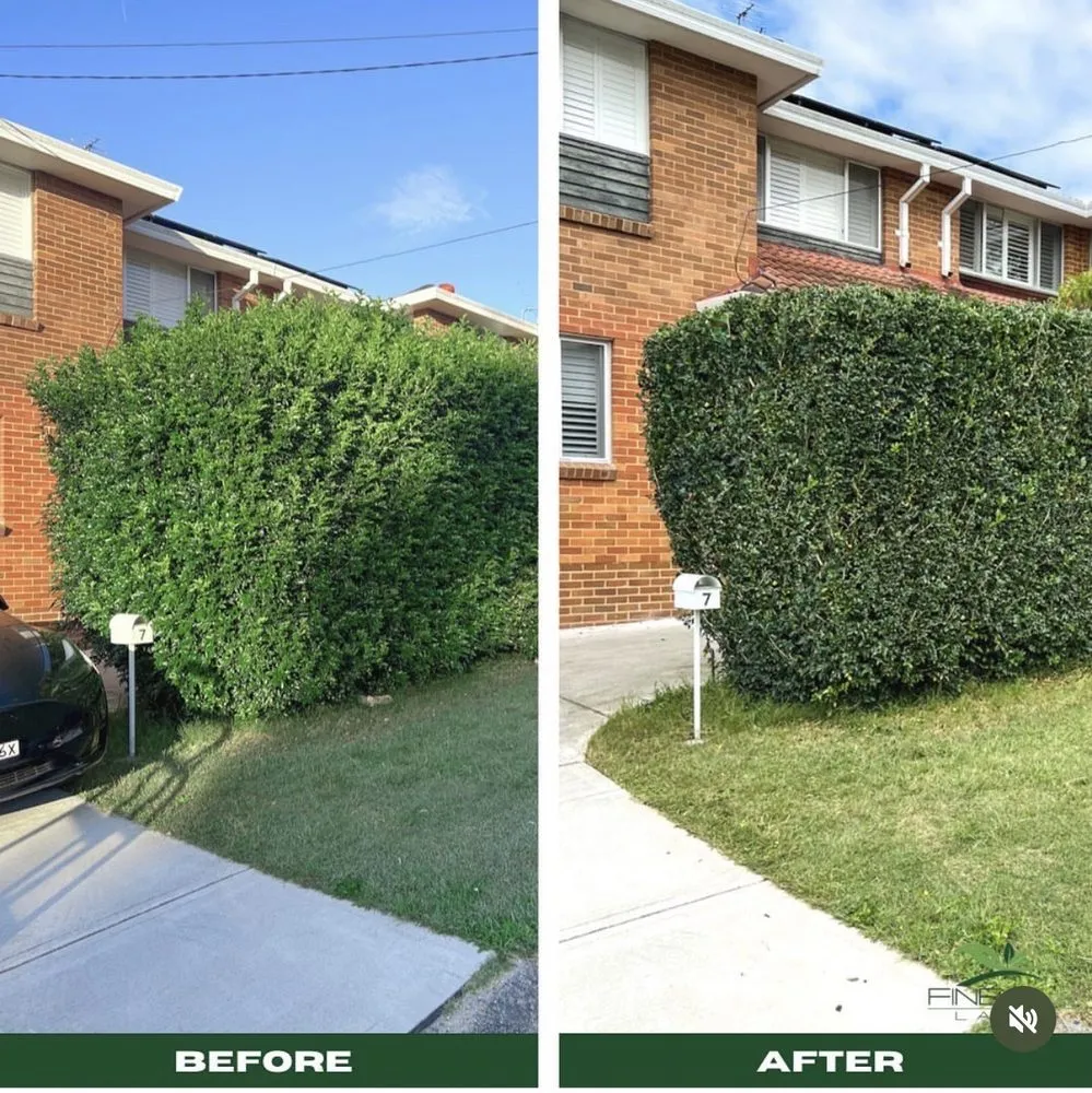 Expert landscaping services for homes in Wilmington, NC by Wheelie Clean Services