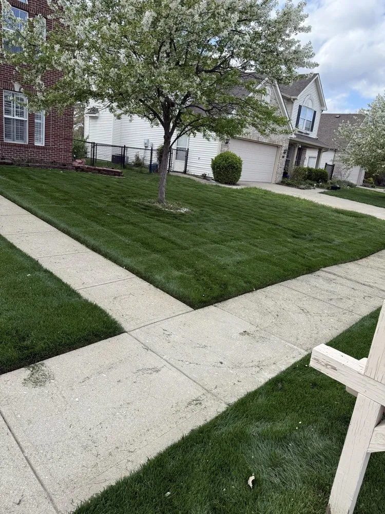 Trusted yard cleanup service in Indianapolis, IN - Wheelock’d In landscape solutions