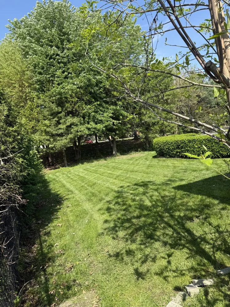 Local landscaping services experts serving Indianapolis, IN - Wheelock’d In landscape solutions