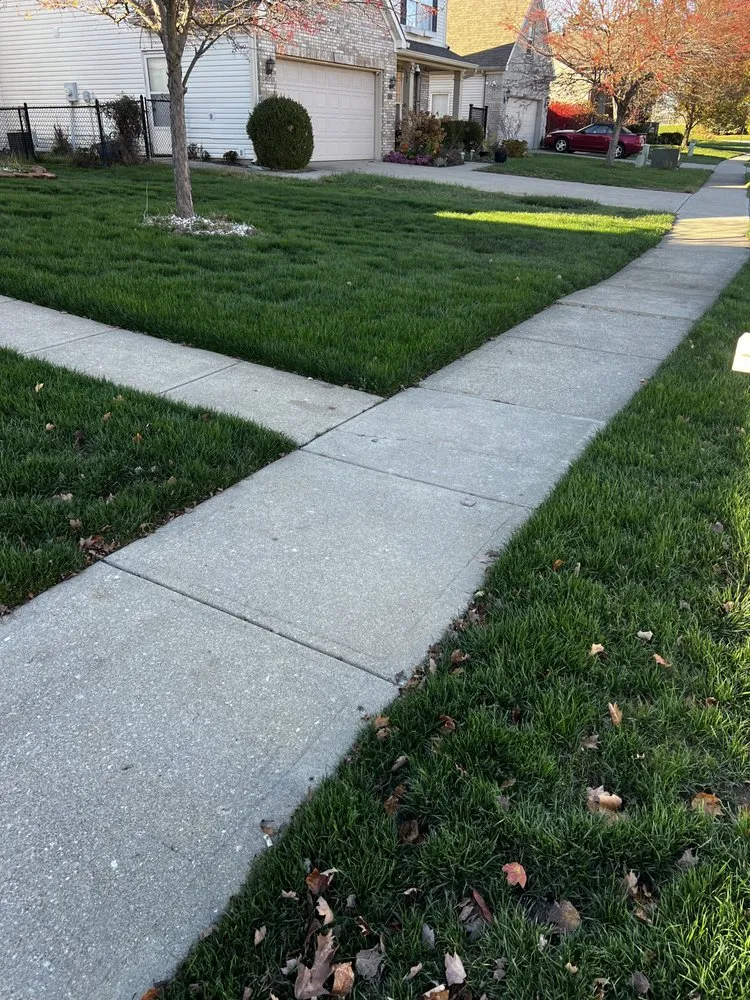 Professional landscaping services for beautiful yards in Indianapolis, IN by Wheelock’d In landscape solutions