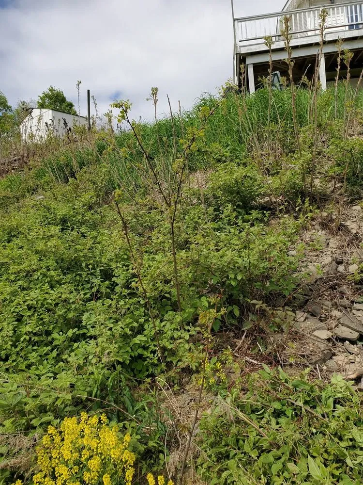 Trusted landscape design in Tioga, PA by Wheels U Borrow