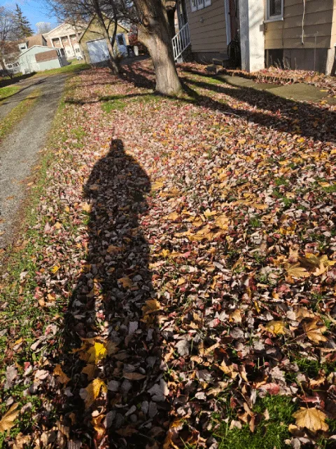 Expert lawn care service for beautiful yards in Tioga, PA by Wheels U Borrow
