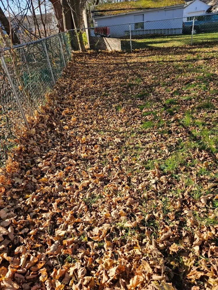 Local landscape design in Tioga, PA by Wheels U Borrow