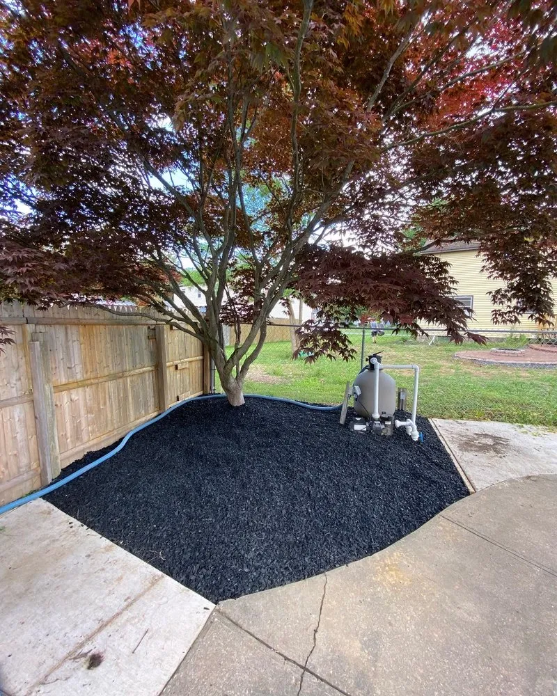 Reliable landscaping services for year-round maintenance in Phoenix NY, NY by Whelan Property Services