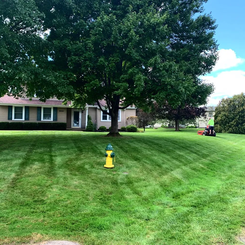 Affordable landscape installation experts serving Phoenix NY, NY - Whelan Property Services