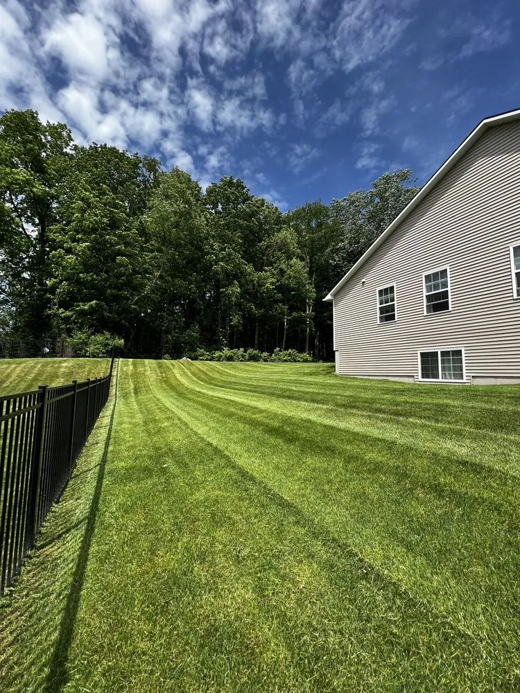 Professional yard cleanup service experts serving Phoenix NY, NY - Whelan Property Services
