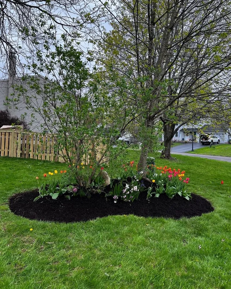 Expert lawn mowing service in Phoenix NY, NY by Whelan Property Services