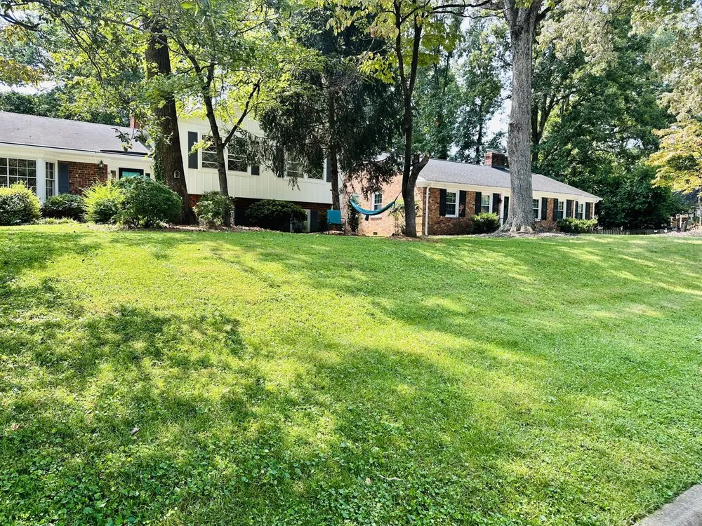 Reliable yard cleanup service in Greensboro, NC - Where Clean Meets Green