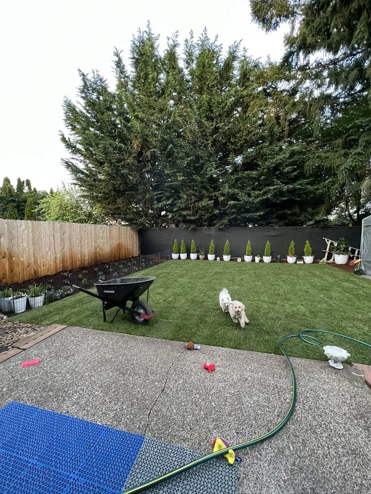 Local lawn care service in Vancouver, WA by Where the Grass is Greener