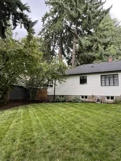 Affordable yard cleanup service near you across Vancouver, WA - Where the Grass is Greener