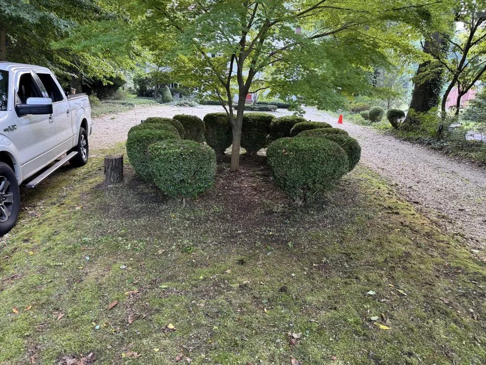 Top-rated residential landscaping with custom design in Clinton, MD by Where The Hose At