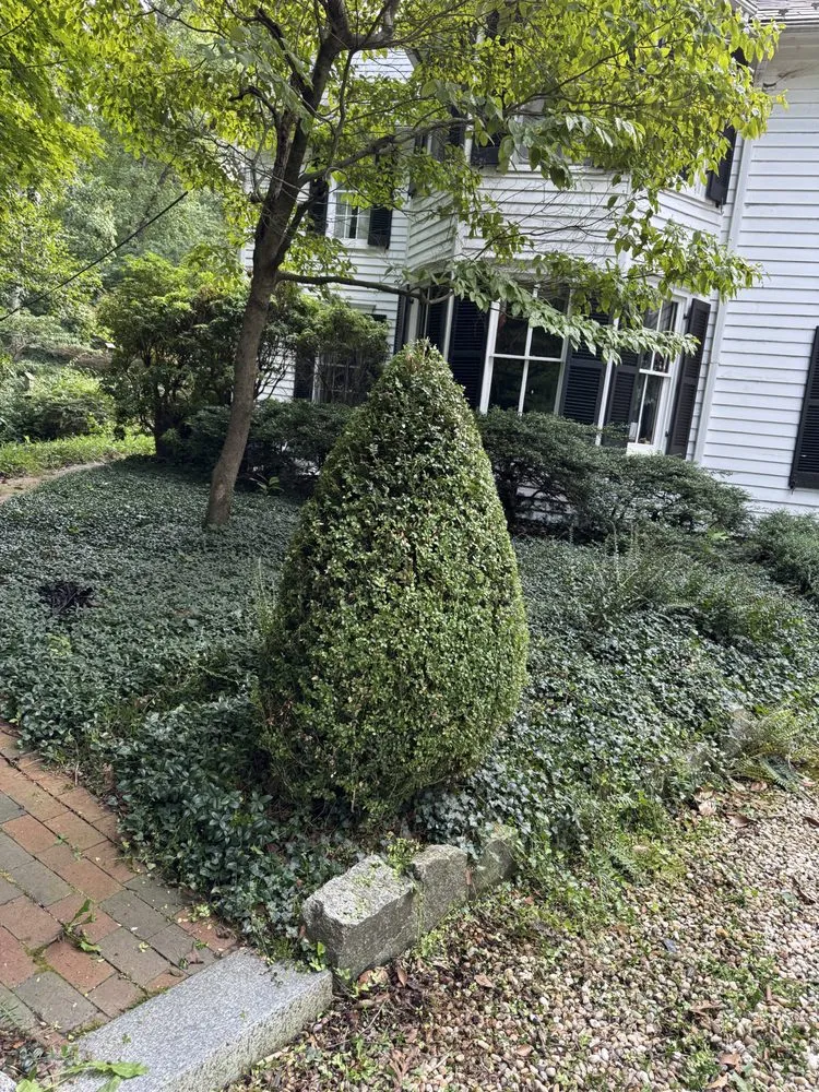 Trusted lawn care service with custom design across Clinton, MD - Where The Hose At