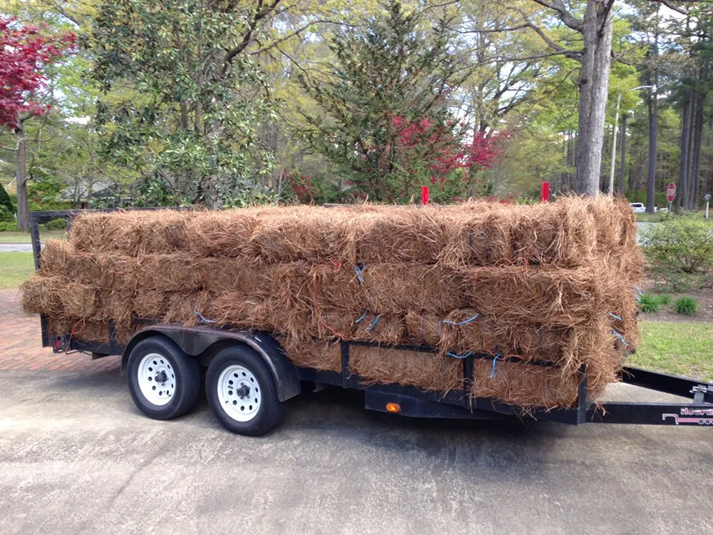 Affordable yard maintenance for homes across Winterville, NC - Whichard’s Lawn Care