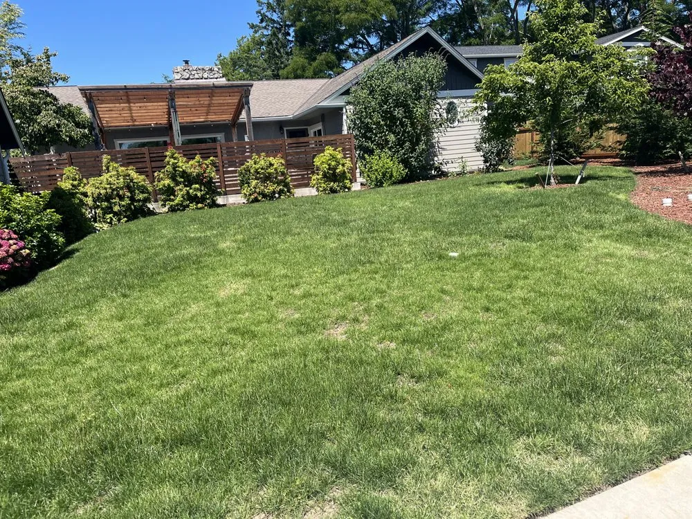 Affordable yard cleanup service in Oak Harbor, WA by Whidbey Lawn Legends