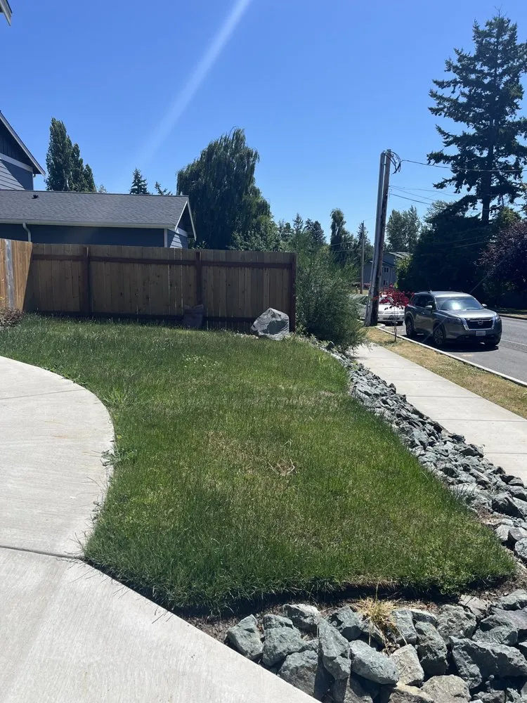 Professional yard cleanup service in Oak Harbor, WA by Whidbey Lawn Legends