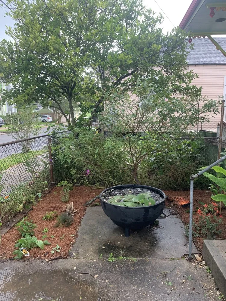 Professional landscape installation in New Orleans, LA - Whimscapes