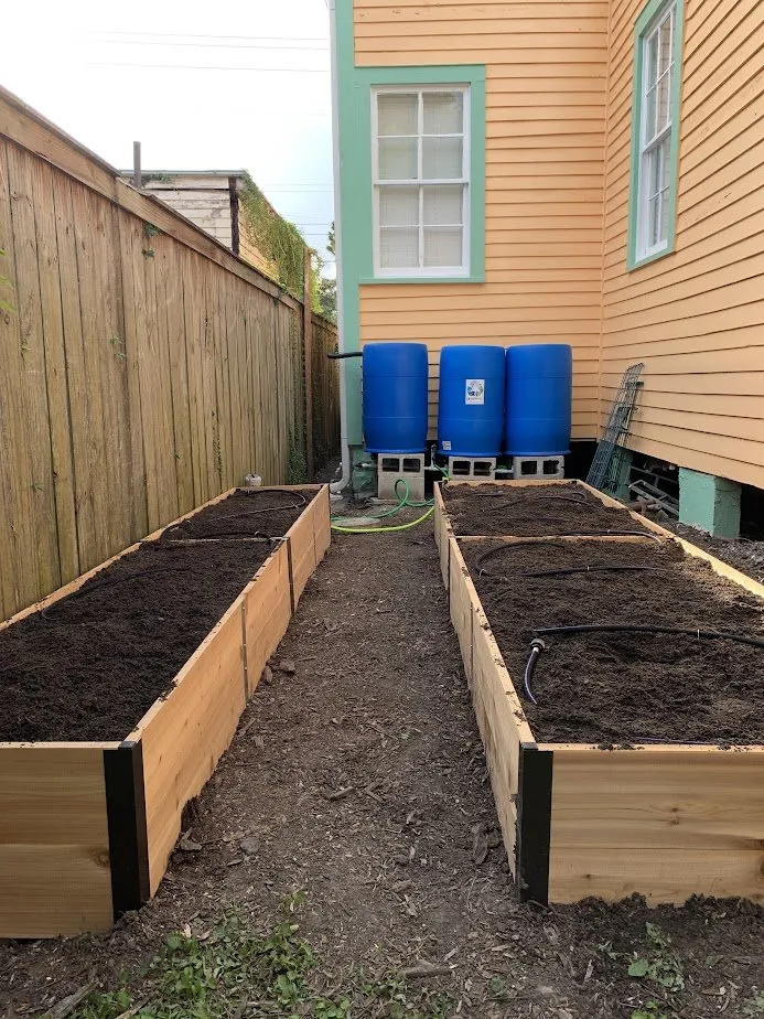 Custom yard maintenance for year-round maintenance in New Orleans, LA by Whimscapes