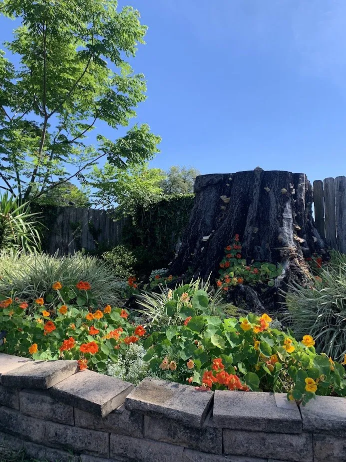 Reliable outdoor landscaping experts serving New Orleans, LA - Whimscapes