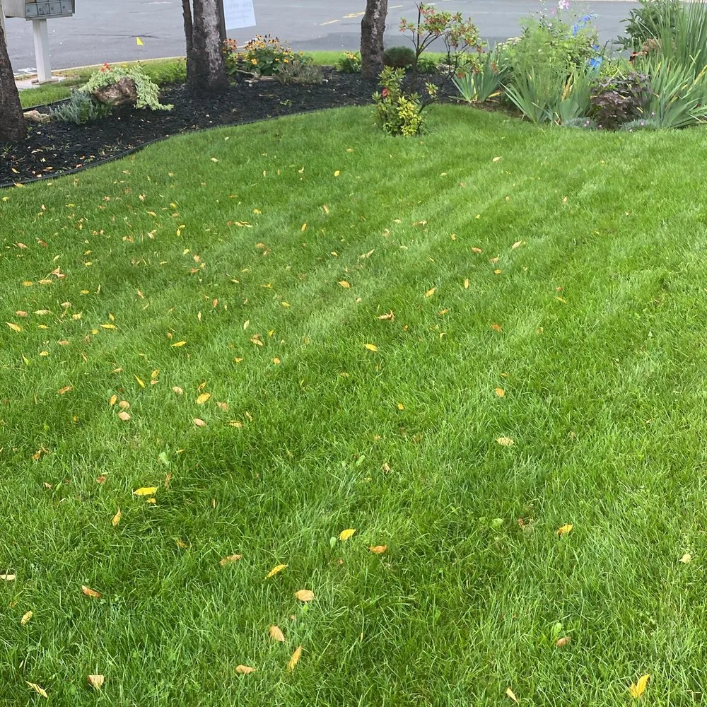 Affordable lawn care service for outdoor upgrades in Shakopee, MN by Whimsy Garden & Landscapes