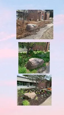 Whimsy Garden & Landscapes