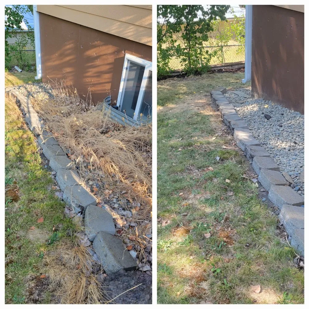 Top-rated lawn care service for year-round maintenance in Albion, WA by Whip Into Shape Yard Solutions
